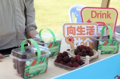 场以“梅”为名的夏季邀约